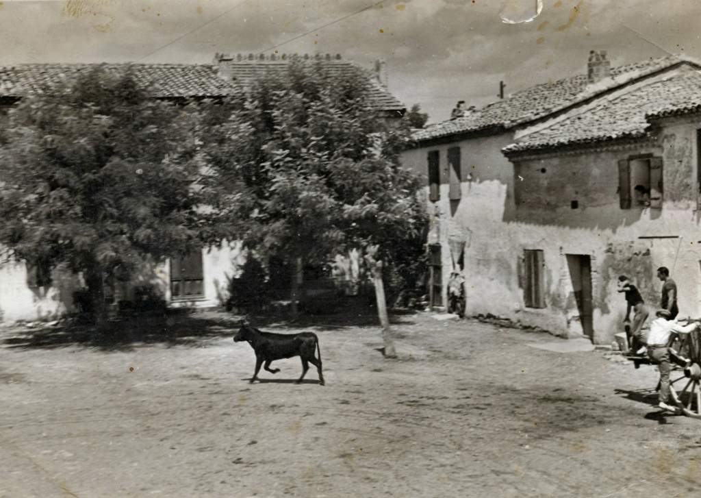 Cour de Saliers